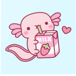 Cozy&Comfy Axolotl