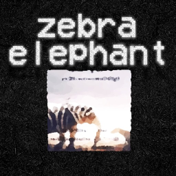 Zebra Elephant Y3