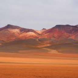 Desert survival