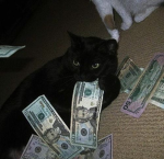 sarahs bank acc0unt