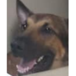 Magnum Boy