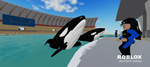 orcas dolphins beluga