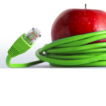 The Apple Squad XD