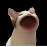 PopCat Games