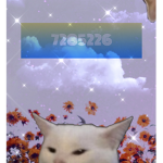 Doge with fun doge