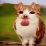 Singularityy