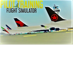 Pilot training sim