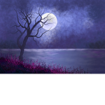 The Moonlight Walrus
