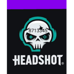 HeadShot Z