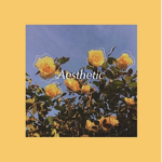 Aesthetic Triibe