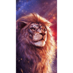 Lion's Clothing Apparel