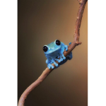 {~Froggy Squad~}