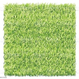 DEFINITELY GRASS