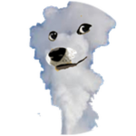 Geyser Doge