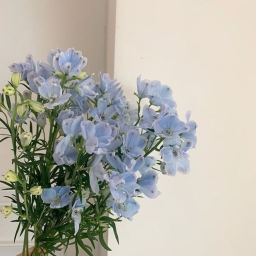 ❀