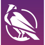 The Deity Studios
