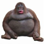 StinkyPoo