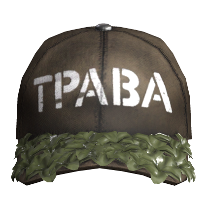Brown Mossy Dirty Worn Cap Roblox item