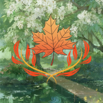 Nature Of Forest