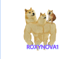 Roxynova1
