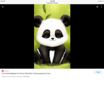 Charlie panda group