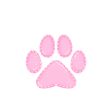 ･ﾟpuppy