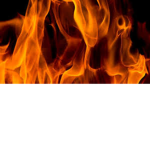 Kingdom Of Fire WOM
