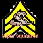 -1st viper squadron-
