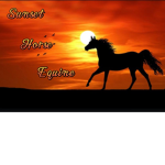 |Sunset equine center|