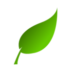 LiteCo Studios