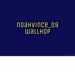 NOAHVINCE_09's WALLHOP PRACTICE
