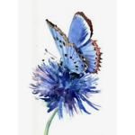 Flying butterflies~