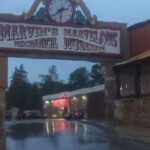 𝚃𝚘𝚘𝚔 𝙽𝚘𝚗𝚜𝚎𝚗𝚜𝚎 