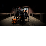 SFM  Fans