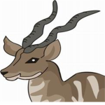 Team Antelopes