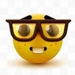 Roblox Nerdy NERDS