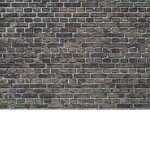 Trust the walls