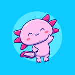 Axolotl team254