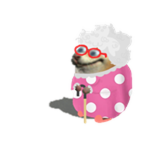 Grandma Chomik