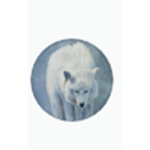 Light wolfs group