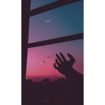 ᴀsᴛʜᴇᴛɪᴄ sᴜɴsʜɪɴᴇ