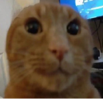 Nikos !!