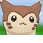 pokemon fan group/club!