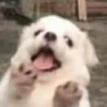 Experience OwO