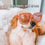 lae's meet and great