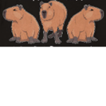 capybara fangroup