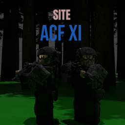 ACF XI-45