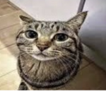 Hellooooo random djrjrjrjrrjrjhrh