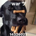 Warツ