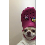 SPIDERUGCMASKOFF